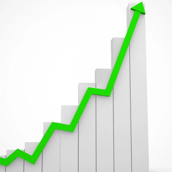 How Our Liverpool SEO Services Drive Organic Growth