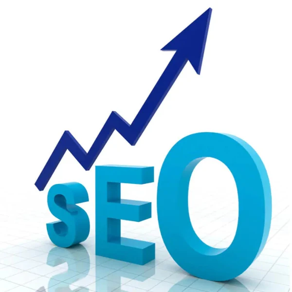 Professional SEO Services