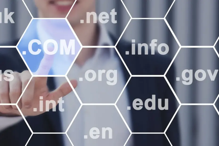 Selecting a Domain Name