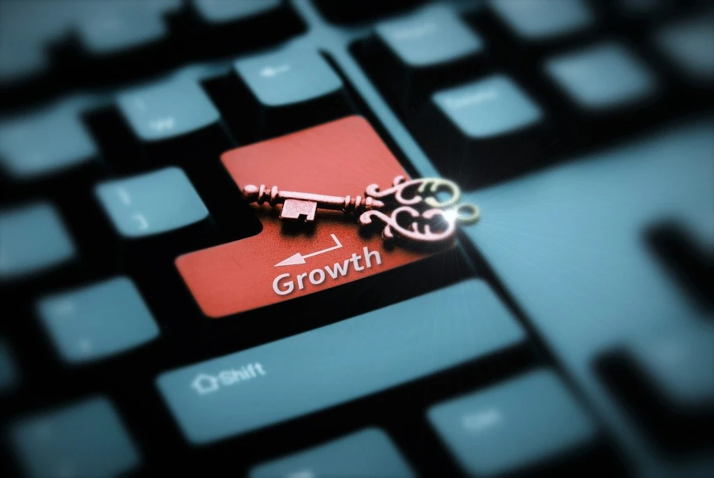 business growth