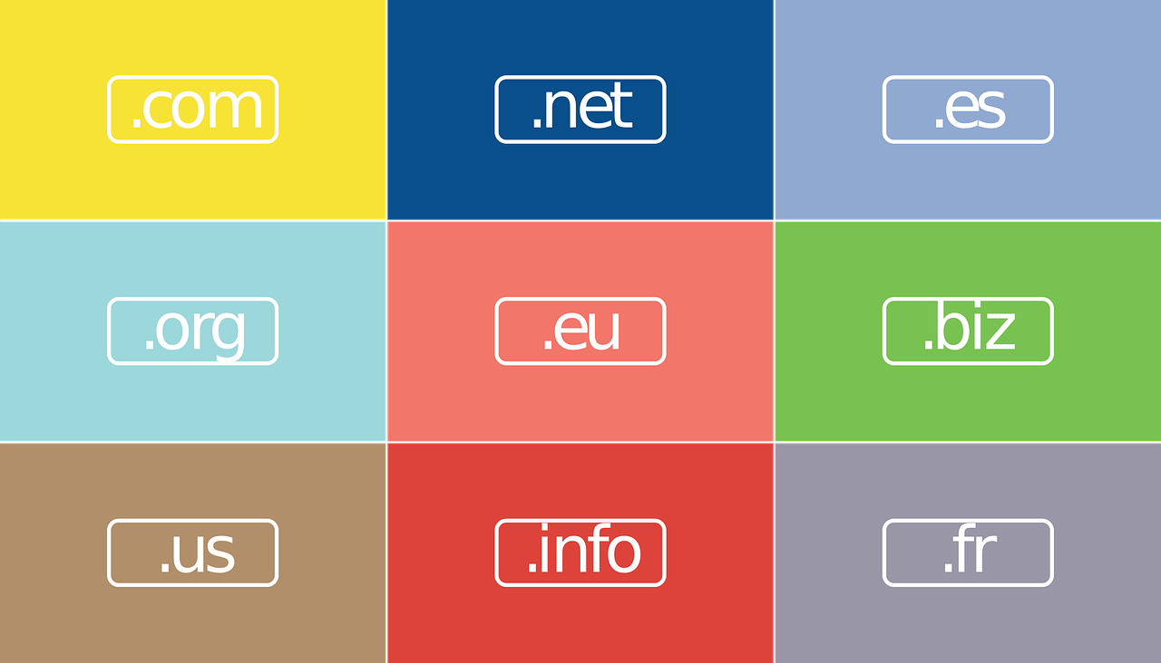 Selecting Domain Name