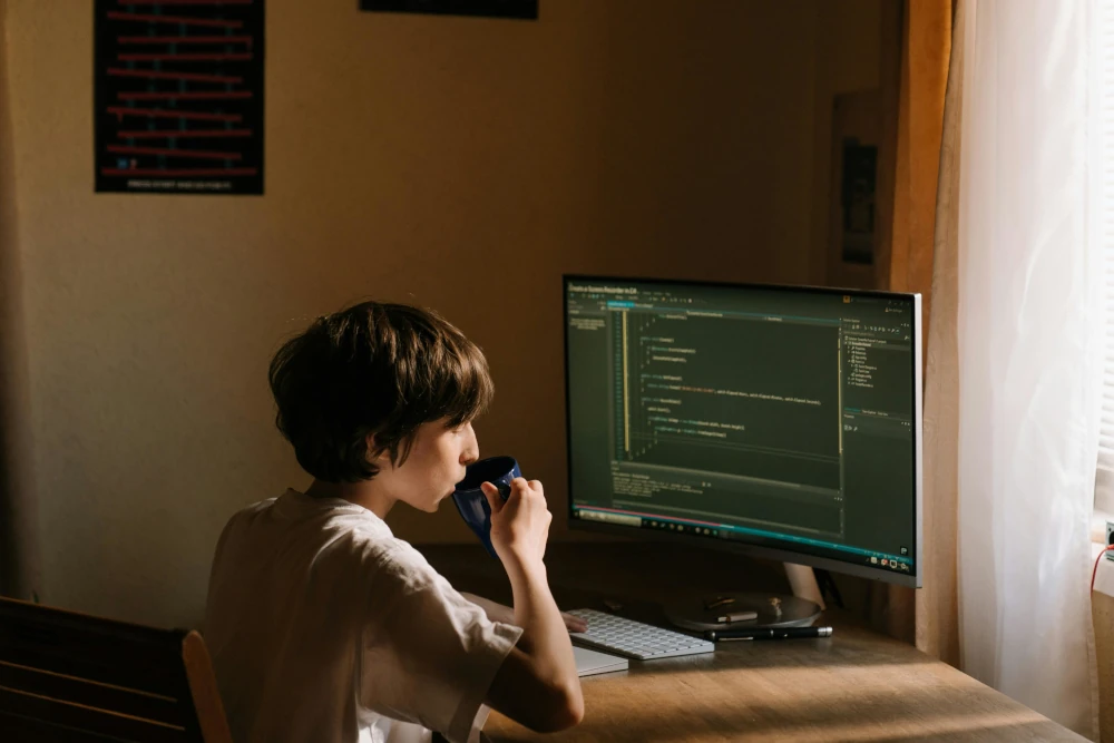 Web Developer