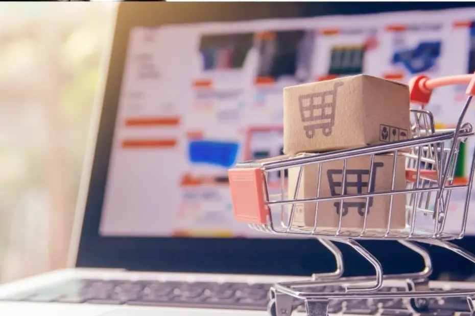 Google Shopping Agencies