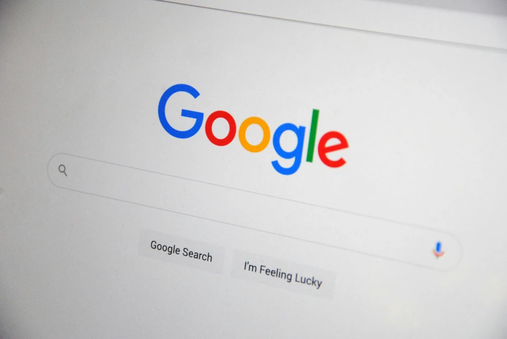 Understanding How Search Results Work