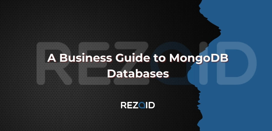 A Business Guide to MongoDB Databases