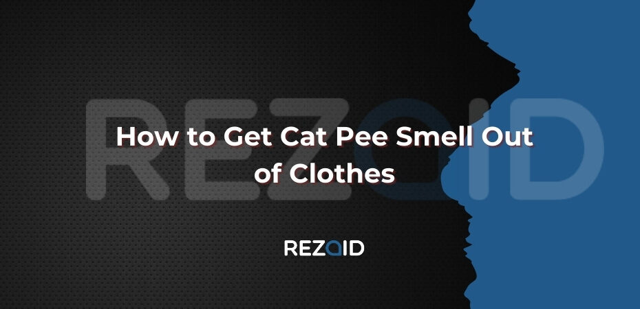 How to Get Cat Pee Smell Out of Clothes