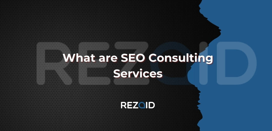 What are SEO Consulting Services