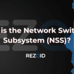 What is the Network Switching Subsystem (NSS)?